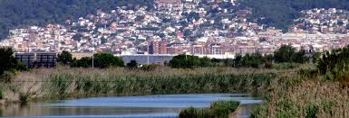 Fontanero El Prat de Llobregat trabajando cerca del Ayuntamiento con fondo de edificios modernos y calles animadas